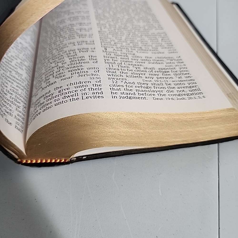 KJV Giant Print Bible ISBN 9780840703446 King James Version Nelsons - Picture 10 of 11